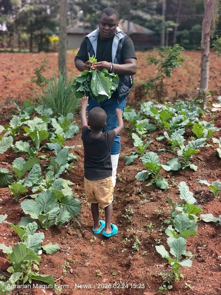 Crops Farm